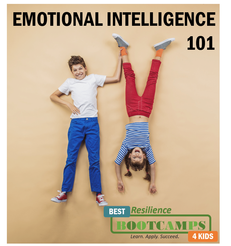 Emotional Intelligence